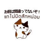 猫 : ずっと味方でいてやるよ（個別スタンプ：30）