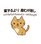 猫 : ずっと味方でいてやるよ（個別スタンプ：36）