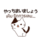 猫 : ずっと味方でいてやるよ（個別スタンプ：39）