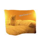 Doggynaa（個別スタンプ：6）
