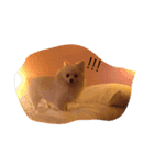Doggynaa（個別スタンプ：7）