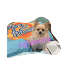 Doggynaa（個別スタンプ：8）