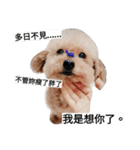 Niu Niu＆Ma Ji（個別スタンプ：5）