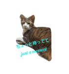 会話で使う言葉集（個別スタンプ：1）