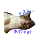 ホタルポポ（個別スタンプ：2）