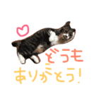 ホタルポポ（個別スタンプ：4）