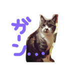 ホタルポポ（個別スタンプ：6）