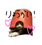 ホタルポポ（個別スタンプ：7）