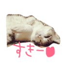 ホタルポポ（個別スタンプ：14）