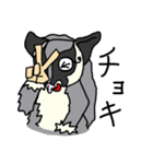 フクモモ“てん”の日常（個別スタンプ：37）