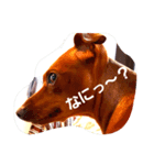 minipinlove（個別スタンプ：6）