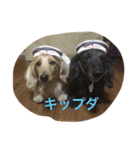 マロ、くり、あん。ハングルで挨拶など。（個別スタンプ：13）