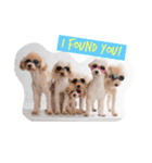 Eight Dogs -2015/2016-（個別スタンプ：3）