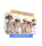 Eight Dogs -2015/2016-（個別スタンプ：4）