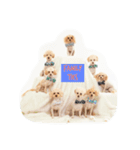 Eight Dogs -2015/2016-（個別スタンプ：7）
