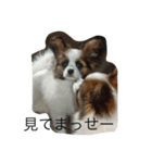 COCOちゃん0214（個別スタンプ：2）