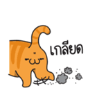 Koi-Meow（個別スタンプ：11）