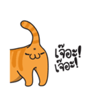 Koi-Meow（個別スタンプ：13）