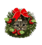 ミヌエットのショコラ子猫写真3冬Xmas正月（個別スタンプ：6）