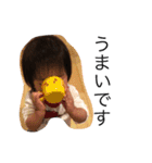 あっくんですよ（個別スタンプ：14）
