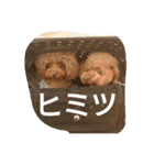 toypoo.love（個別スタンプ：13）