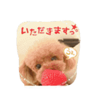 toypoo.love（個別スタンプ：19）