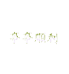 Repeatedly Changing Font 1（個別スタンプ：6）