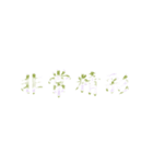 Repeatedly Changing Font 1（個別スタンプ：12）
