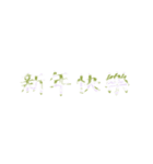 Repeatedly Changing Font 1（個別スタンプ：15）