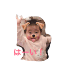 airino4（個別スタンプ：6）