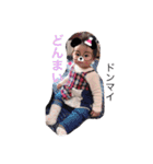 airino4（個別スタンプ：11）