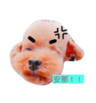 bogii（個別スタンプ：5）
