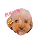 bogii（個別スタンプ：6）