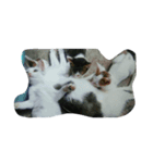 こんにちは(=^ェ^=)（個別スタンプ：4）