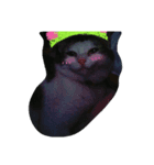 こんにちは(=^ェ^=)（個別スタンプ：8）