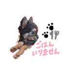 かりんとかわいいなかまたち（個別スタンプ：4）