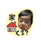 reinostamps（個別スタンプ：21）