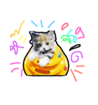 cat01（個別スタンプ：6）
