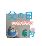 季節のイベント（個別スタンプ：24）