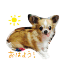 浦山家の人々（個別スタンプ：12）