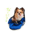 浦山家の人々（個別スタンプ：14）