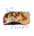 浦山家の人々（個別スタンプ：27）