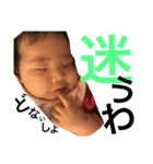 cocohachan（個別スタンプ：5）