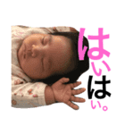 cocohachan（個別スタンプ：7）