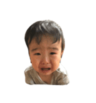 やまとんとん（個別スタンプ：5）