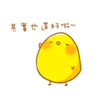 Chick's lazy philosophy（個別スタンプ：11）