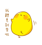 Chick's lazy philosophy（個別スタンプ：31）