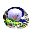 Today is enjoy（個別スタンプ：6）