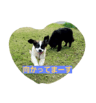 ROYAL ROAD6（個別スタンプ：4）