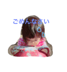 ゆったんの日常（個別スタンプ：11）